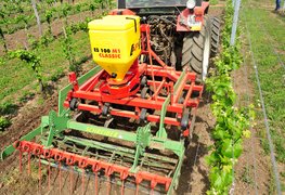 Single disc spreader  ES 100 M1 Classic in the vineyard