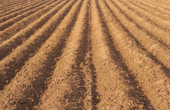 a field ready for sowing